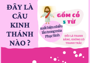 CH12